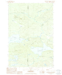 Millinocket Lake East Maine Historical topographic map, 1:24000 scale, 7.5 X 7.5 Minute, Year 1985