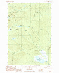 Mooseleuk Lake Maine Historical topographic map, 1:24000 scale, 7.5 X 7.5 Minute, Year 1985