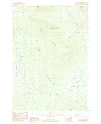 Mount Abraham Maine Historical topographic map, 1:24000 scale, 7.5 X 7.5 Minute, Year 1984