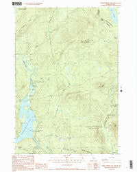 Parmachenee Lake Maine Historical topographic map, 1:24000 scale, 7.5 X 7.5 Minute, Year 1990