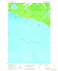 Albany Island Michigan Historical topographic map, 1:24000 scale, 7.5 X 7.5 Minute, Year 1964