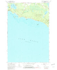 Albany Island Michigan Historical topographic map, 1:24000 scale, 7.5 X 7.5 Minute, Year 1964