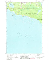 Albany Island Michigan Historical topographic map, 1:24000 scale, 7.5 X 7.5 Minute, Year 1964