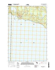 Albany Island Michigan Current topographic map, 1:24000 scale, 7.5 X 7.5 Minute, Year 2017