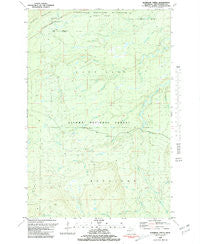 Aldridge Creek Michigan Historical topographic map, 1:24000 scale, 7.5 X 7.5 Minute, Year 1981