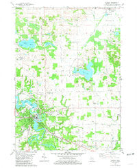 Allegan Michigan Historical topographic map, 1:24000 scale, 7.5 X 7.5 Minute, Year 1981