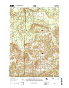 Arlene Michigan Historical topographic map, 1:24000 scale, 7.5 X 7.5 Minute, Year 2014