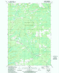 Arnold Michigan Historical topographic map, 1:24000 scale, 7.5 X 7.5 Minute, Year 1989