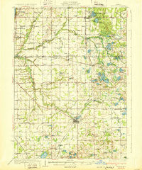Bangor Michigan Historical topographic map, 1:62500 scale, 15 X 15 Minute, Year 1931