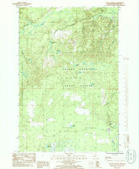 Baraga Plains Michigan Historical topographic map, 1:24000 scale, 7.5 X 7.5 Minute, Year 1985