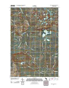 Betsy Lake SW Michigan Historical topographic map, 1:24000 scale, 7.5 X 7.5 Minute, Year 2011