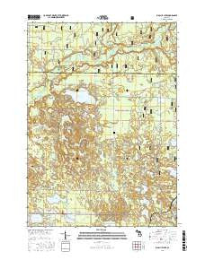 Big Blue Lake Michigan Current topographic map, 1:24000 scale, 7.5 X 7.5 Minute, Year 2017