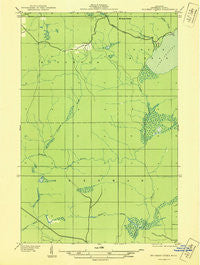 Bruneau Creek Michigan Historical topographic map, 1:31680 scale, 7.5 X 7.5 Minute, Year 1938