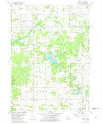 Burnips Michigan Historical topographic map, 1:24000 scale, 7.5 X 7.5 Minute, Year 1981