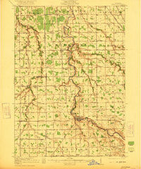 Burt Michigan Historical topographic map, 1:62500 scale, 15 X 15 Minute, Year 1921