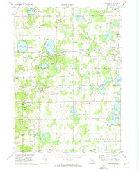 Cannonsburg Michigan Historical topographic map, 1:24000 scale, 7.5 X 7.5 Minute, Year 1972