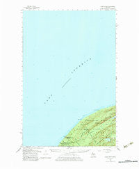 Carp River Michigan Historical topographic map, 1:62500 scale, 15 X 15 Minute, Year 1956