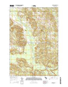 Chestonia Michigan Historical topographic map, 1:24000 scale, 7.5 X 7.5 Minute, Year 2014