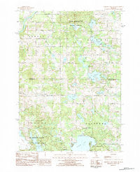 Chippewa Lake North Michigan Historical topographic map, 1:25000 scale, 7.5 X 7.5 Minute, Year 1983