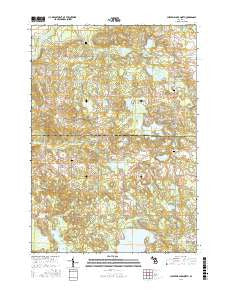 Chippewa Lake North Michigan Current topographic map, 1:24000 scale, 7.5 X 7.5 Minute, Year 2017