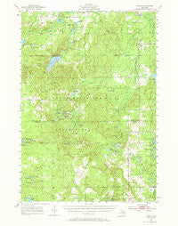 Comins Michigan Historical topographic map, 1:62500 scale, 15 X 15 Minute, Year 1955