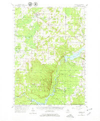 Copemish Michigan Historical topographic map, 1:62500 scale, 15 X 15 Minute, Year 1957