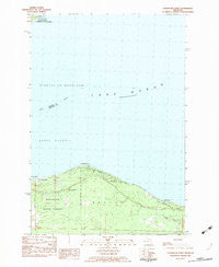 Cordwood Point Michigan Historical topographic map, 1:25000 scale, 7.5 X 7.5 Minute, Year 1982