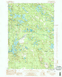 Corner Lake Michigan Historical topographic map, 1:24000 scale, 7.5 X 7.5 Minute, Year 1985