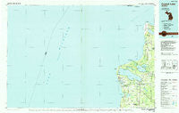 Crystal Lake Michigan Historical topographic map, 1:100000 scale, 30 X 60 Minute, Year 1984
