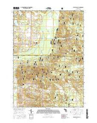 Crystal Valley Michigan Current topographic map, 1:24000 scale, 7.5 X 7.5 Minute, Year 2017