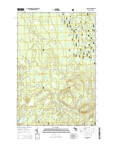 Cup Lake Michigan Historical topographic map, 1:24000 scale, 7.5 X 7.5 Minute, Year 2014