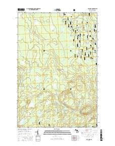 Cup Lake Michigan Current topographic map, 1:24000 scale, 7.5 X 7.5 Minute, Year 2017