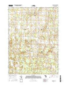 Dansville Michigan Current topographic map, 1:24000 scale, 7.5 X 7.5 Minute, Year 2017