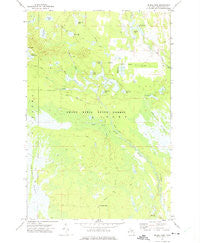 Driggs Lake Michigan Historical topographic map, 1:24000 scale, 7.5 X 7.5 Minute, Year 1972