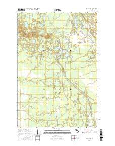 Driggs Lake Michigan Current topographic map, 1:24000 scale, 7.5 X 7.5 Minute, Year 2017