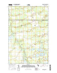 Driggs Lake SE Michigan Current topographic map, 1:24000 scale, 7.5 X 7.5 Minute, Year 2017