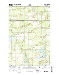 Driggs Lake SE Michigan Current topographic map, 1:24000 scale, 7.5 X 7.5 Minute, Year 2017
