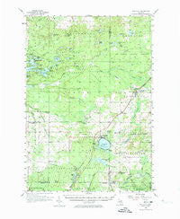 Fife Lake Michigan Historical topographic map, 1:62500 scale, 15 X 15 Minute, Year 1956