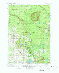 Freesoil Michigan Historical topographic map, 1:62500 scale, 15 X 15 Minute, Year 1957