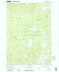 Goodar Michigan Historical topographic map, 1:24000 scale, 7.5 X 7.5 Minute, Year 1972