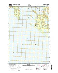 Goose Island Michigan Current topographic map, 1:24000 scale, 7.5 X 7.5 Minute, Year 2017