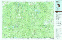 Grayling Michigan Historical topographic map, 1:100000 scale, 30 X 60 Minute, Year 1983