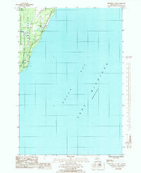 Henderson Lakes Michigan Historical topographic map, 1:24000 scale, 7.5 X 7.5 Minute, Year 1985