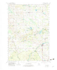 Hesperia Michigan Historical topographic map, 1:62500 scale, 15 X 15 Minute, Year 1958