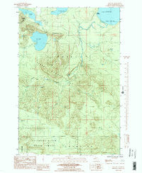 Ives Hill Michigan Historical topographic map, 1:24000 scale, 7.5 X 7.5 Minute, Year 1984