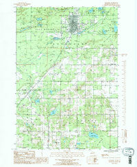 Kalkaska Michigan Historical topographic map, 1:24000 scale, 7.5 X 7.5 Minute, Year 1985