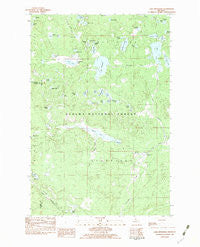 Lake Mitigwaki Michigan Historical topographic map, 1:25000 scale, 7.5 X 7.5 Minute, Year 1982