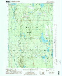 Lake Stella Michigan Historical topographic map, 1:24000 scale, 7.5 X 7.5 Minute, Year 1985