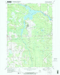 Lake Winyah Michigan Historical topographic map, 1:24000 scale, 7.5 X 7.5 Minute, Year 1971