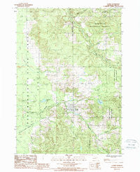 Luther Michigan Historical topographic map, 1:24000 scale, 7.5 X 7.5 Minute, Year 1987